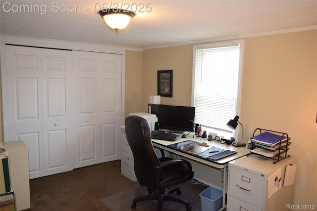 7448 Miller Rd, Swartz Creek, MI 48473 - home office featuring dark colored carpet and ornamental molding