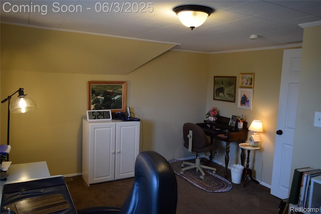 7448 Miller Rd, Swartz Creek, MI 48473 - office featuring dark colored carpet, baseboards, and crown molding