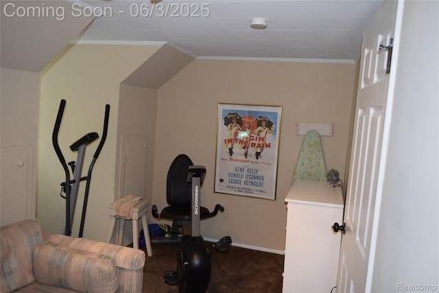 7448 Miller Rd, Swartz Creek, MI 48473 - exercise area with crown molding, carpet, and baseboards