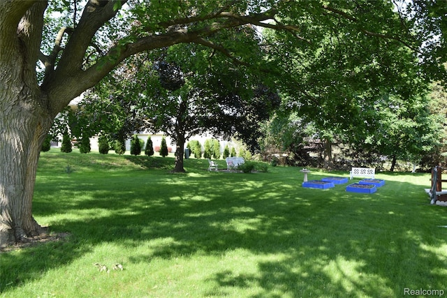 7448 Miller Rd, Swartz Creek, MI 48473 - view of green lawn