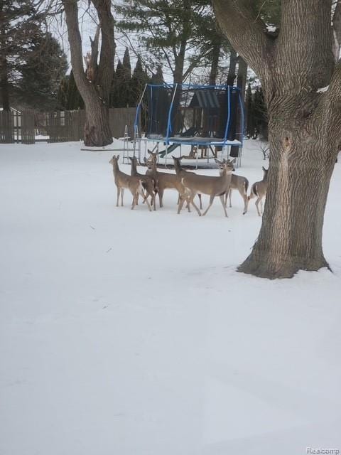 7448 Miller Rd, Swartz Creek, MI 48473 - snowy yard featuring a trampoline
