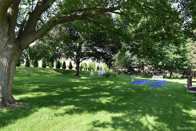 7448 Miller Rd, Swartz Creek, MI 48473 - view of green lawn