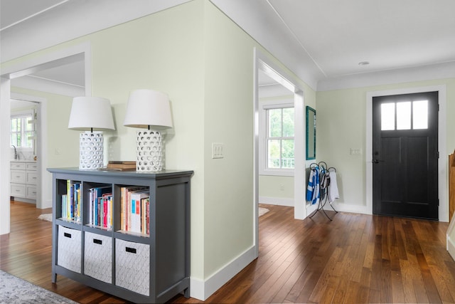 2928 Heeney Rd, Stockbridge, MI 49285 - entryway featuring wood-type flooring, baseboards, and plenty of natural light