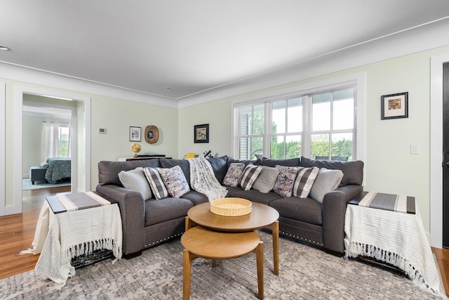2928 Heeney Rd, Stockbridge, MI 49285 - living room with wood finished floors