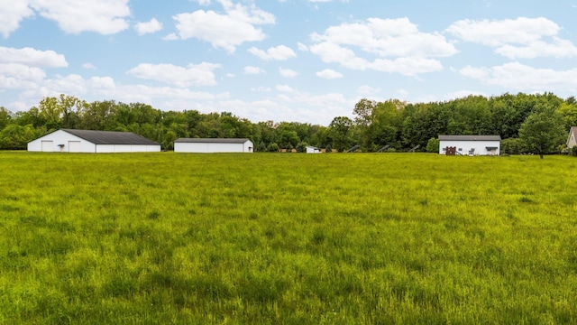 2928 Heeney Rd, Stockbridge, MI 49285 - view of grassy yard with an outbuilding and a garage