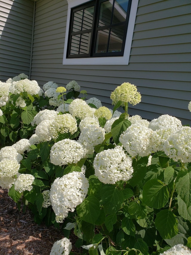 2928 Heeney Rd, Stockbridge, MI 49285 - exterior view