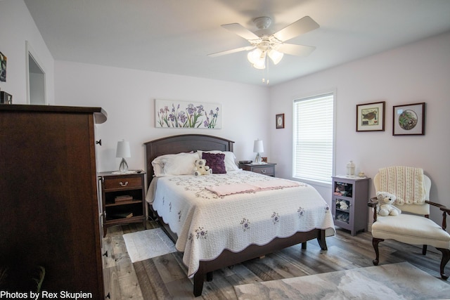 701 Knollcrest Ln, Fremont, MI 49412 - bedroom with wood finished floors and a ceiling fan