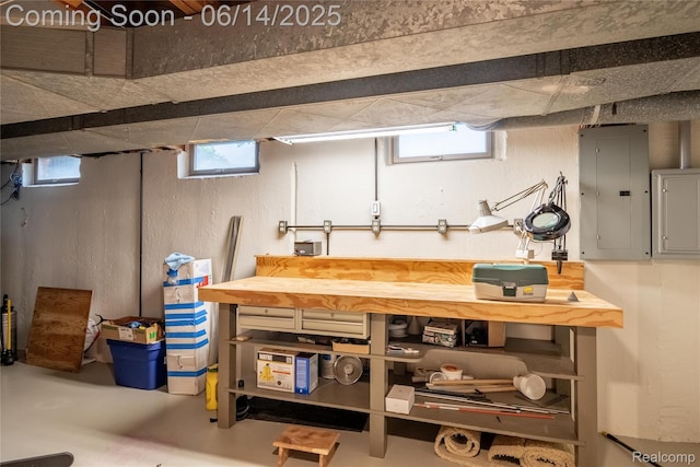 12950 Via Catherina Dr, Grand Blanc, MI 48439 - basement with electric panel