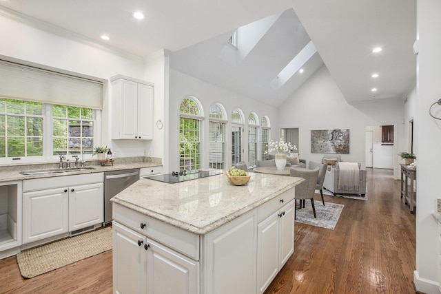 3113 Miller Rd, Ann Arbor, MI 48103 - kitchen with dishwasher, a sink, black electric cooktop, a skylight, and open floor plan
