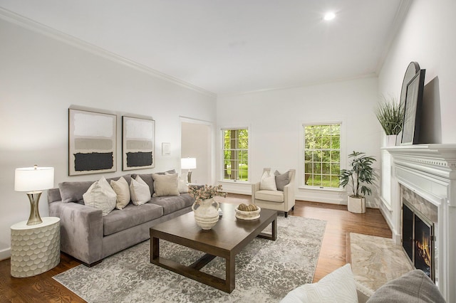 3113 Miller Rd, Ann Arbor, MI 48103 - living area with ornamental molding, wood finished floors, a fireplace, and baseboards
