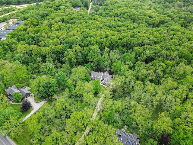 3113 Miller Rd, Ann Arbor, MI 48103 - drone / aerial view of a forest