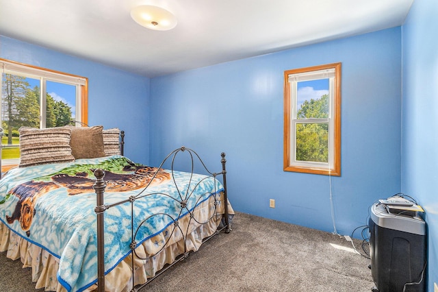 2639 Dutch Acres, Allegan, MI 49010 - bedroom with carpet and multiple windows