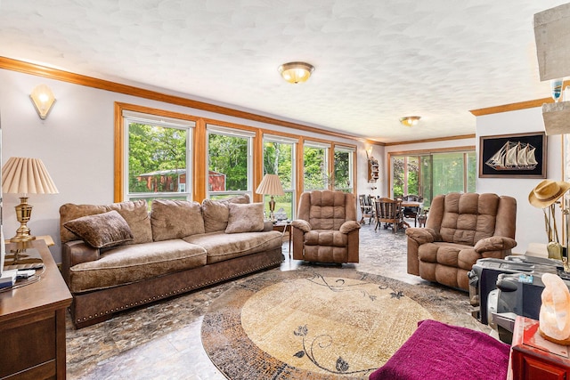 2639 Dutch Acres, Allegan, MI 49010 - living room with ornamental molding, plenty of natural light, and a textured ceiling