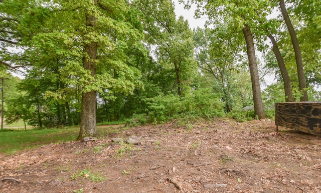 493 Swan Ln, Coldwater, MI 49036 - view of local wilderness