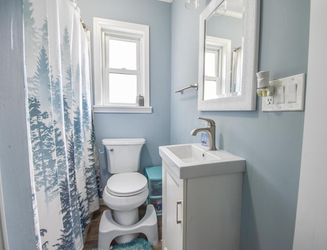 493 Swan Ln, Coldwater, MI 49036 - bathroom featuring vanity and toilet