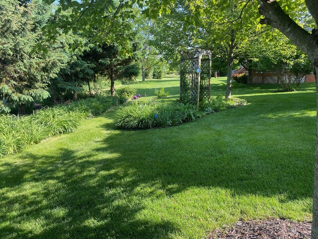 1432 Auston Ln, Chelsea, MI 48118 - view of green lawn
