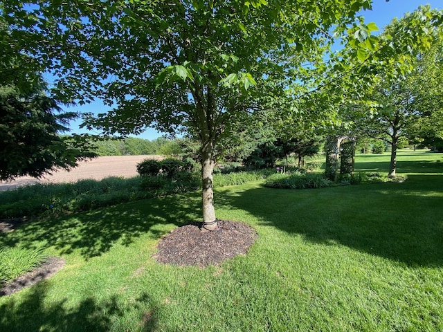 1432 Auston Ln, Chelsea, MI 48118 - view of grassy yard