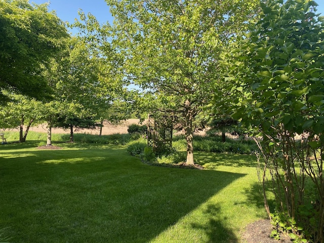 1432 Auston Ln, Chelsea, MI 48118 - view of green lawn