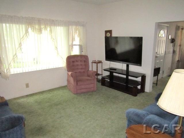 107 Seward St, Hudson, MI 49247 - photo 9