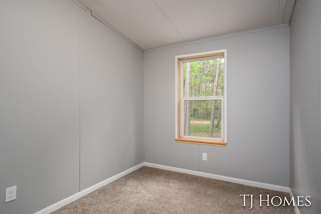 3010 E 96th St, Newaygo, MI 49337 - empty room featuring carpet flooring and baseboards