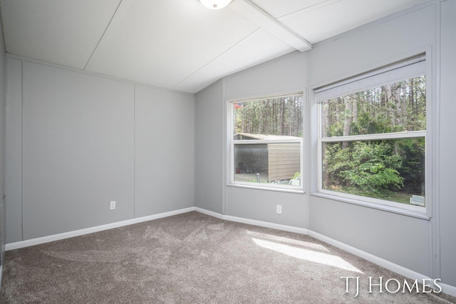 3010 E 96th St, Newaygo, MI 49337 - carpeted empty room featuring vaulted ceiling and baseboards