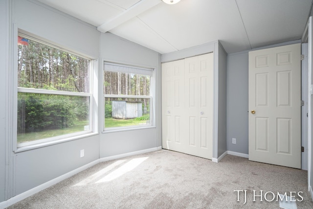 3010 E 96th St, Newaygo, MI 49337 - unfurnished bedroom featuring multiple windows, carpet floors, a closet, and baseboards