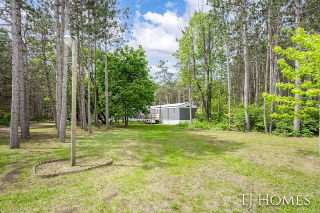 3010 E 96th St, Newaygo, MI 49337 - view of green lawn