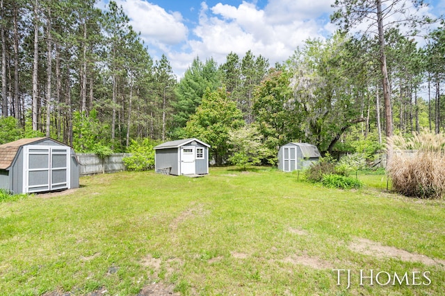 3010 E 96th St, Newaygo, MI 49337 - view of yard