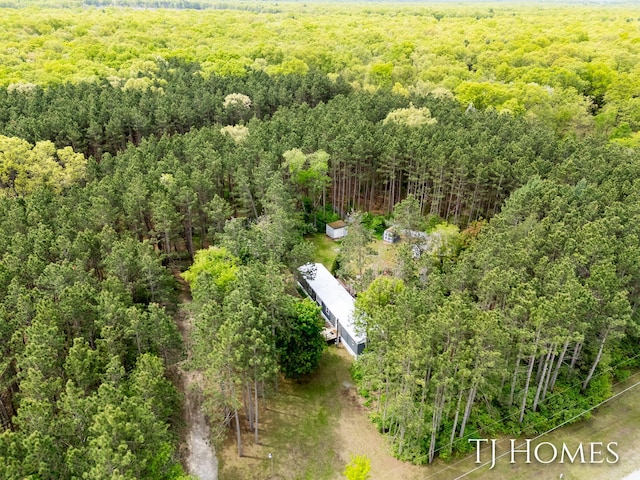 3010 E 96th St, Newaygo, MI 49337 - aerial view of a forest