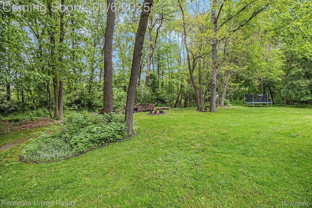 11187 Shadywood Dr, Brighton, MI 48114 - view of grassy yard with a trampoline