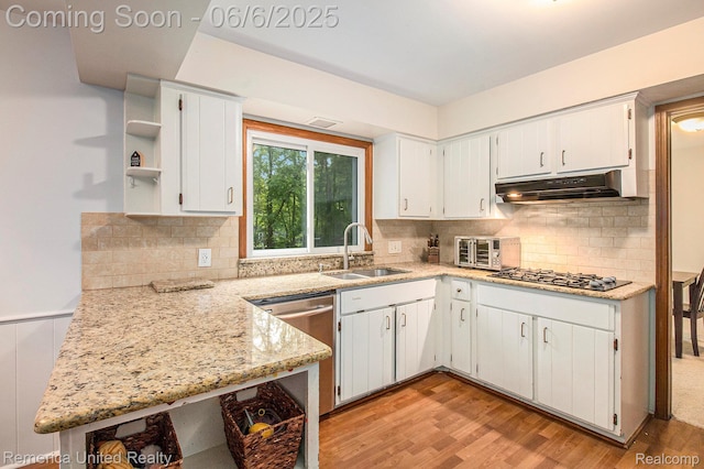 11187 Shadywood Dr, Brighton, MI 48114 - kitchen with open shelves, a sink, under cabinet range hood, stainless steel appliances, and light wood-style floors