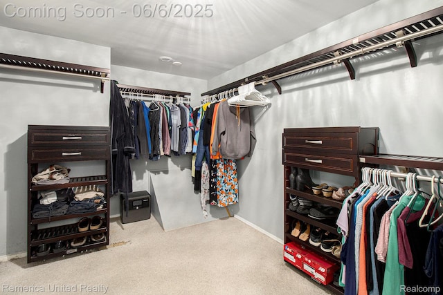 11187 Shadywood Dr, Brighton, MI 48114 - walk in closet featuring carpet