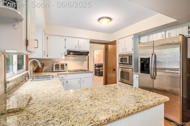 11187 Shadywood Dr, Brighton, MI 48114 - kitchen featuring stainless steel appliances, a sink, under cabinet range hood, light stone countertops, and backsplash