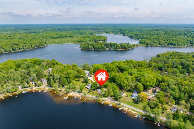 8843 Silver Lake Rd, Grand Junction, MI 49056 - aerial view of property and surrounding area featuring a heavily wooded area and a large body of water
