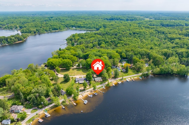 8843 Silver Lake Rd, Grand Junction, MI 49056 - aerial view of a heavily wooded area and a nearby body of water