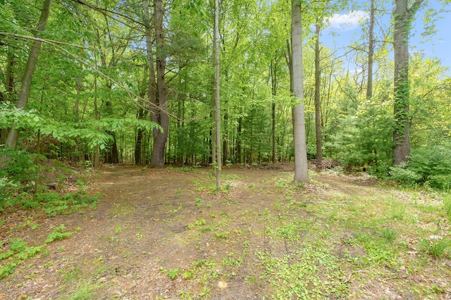 8843 Silver Lake Rd, Grand Junction, MI 49056 - view of yard featuring a view of trees