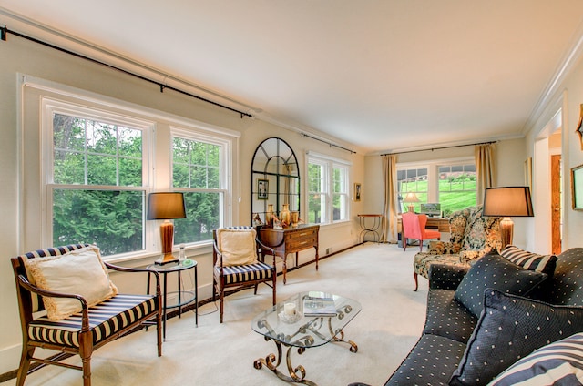 902 Oakridge Dr, Jackson, MI 49203 - living room featuring carpet, ornamental molding, and baseboards