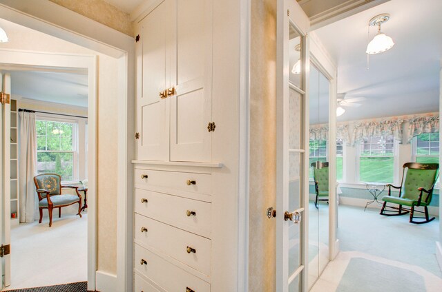 902 Oakridge Dr, Jackson, MI 49203 - corridor with carpet and french doors