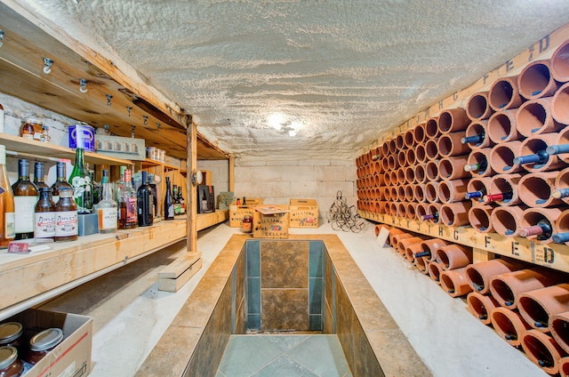 902 Oakridge Dr, Jackson, MI 49203 - view of wine room