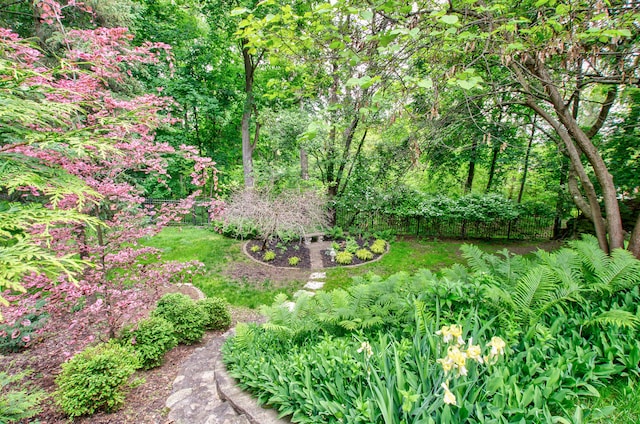 902 Oakridge Dr, Jackson, MI 49203 - view of yard
