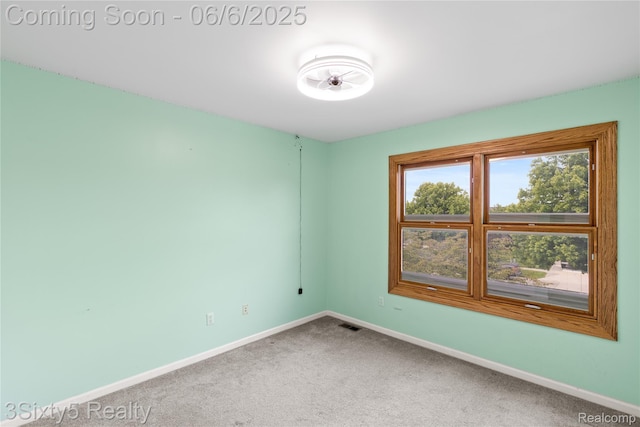 20605 Hickory St, Woodhaven, MI 48183 - spare room with baseboards and carpet floors