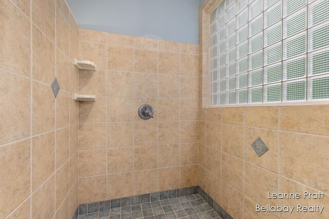 1020 E Woodlawn Ave, Hastings, MI 49058 - full bathroom featuring a tile shower