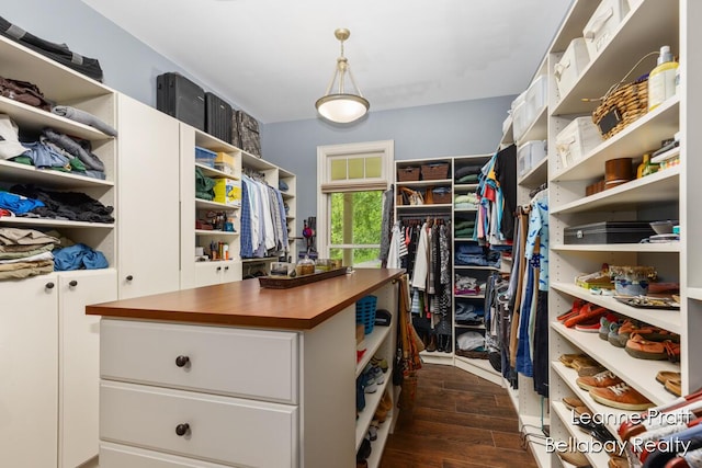 1020 E Woodlawn Ave, Hastings, MI 49058 - walk in closet featuring dark wood finished floors
