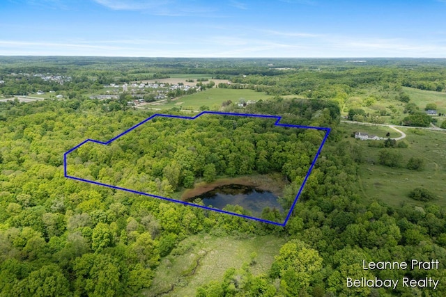 1020 E Woodlawn Ave, Hastings, MI 49058 - aerial overview of property's location featuring property boundaries highlighted and a heavily wooded area