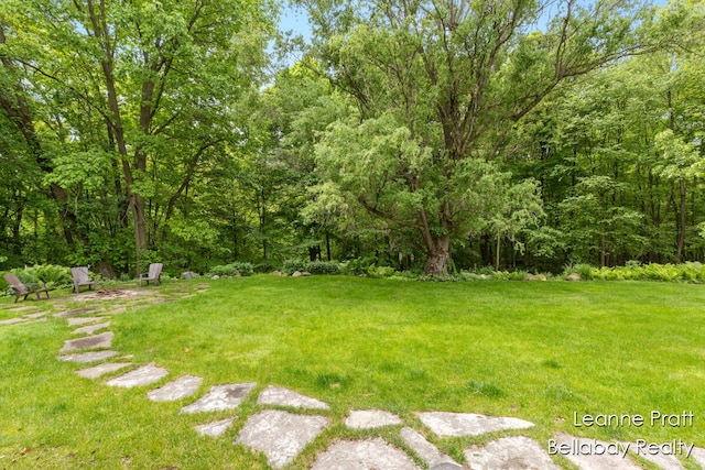 1020 E Woodlawn Ave, Hastings, MI 49058 - view of green lawn