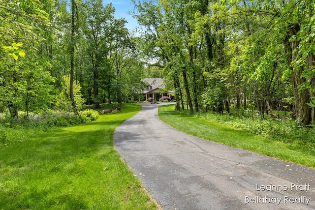 1020 E Woodlawn Ave, Hastings, MI 49058 - view of asphalt driveway