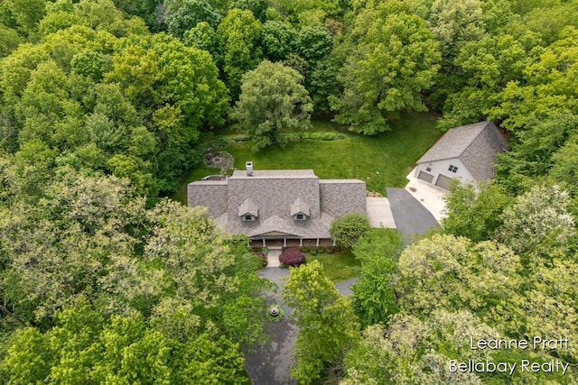 1020 E Woodlawn Ave, Hastings, MI 49058 - view from above of property with a heavily wooded area