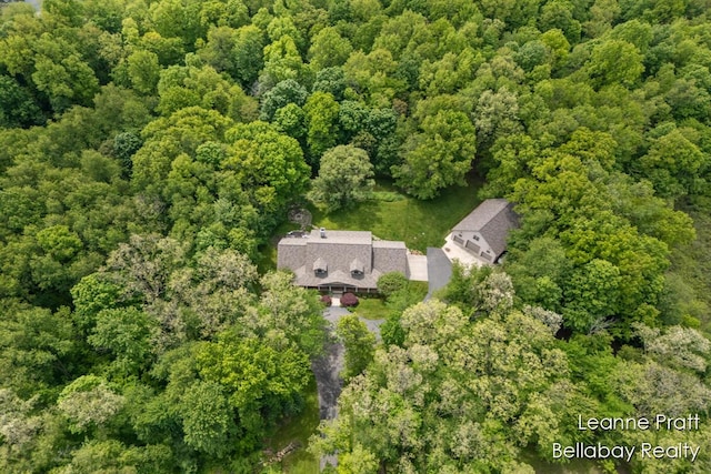 1020 E Woodlawn Ave, Hastings, MI 49058 - view from above of property featuring a forest