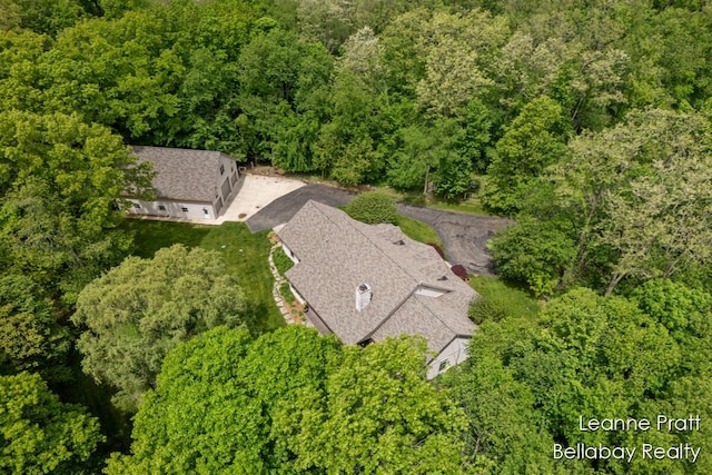 1020 E Woodlawn Ave, Hastings, MI 49058 - view from above of property with a forest