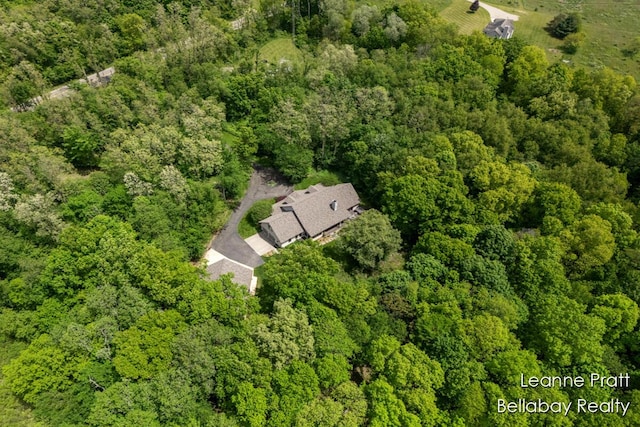 1020 E Woodlawn Ave, Hastings, MI 49058 - aerial view of property and surrounding area featuring a heavily wooded area